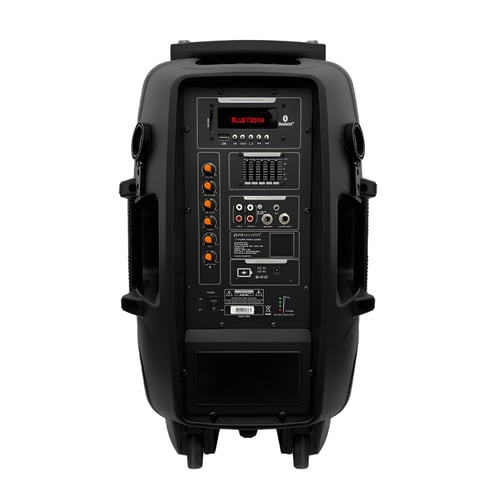 מערכת קריוקי ניידת עם בלוטוס ומיקרופונים 400W