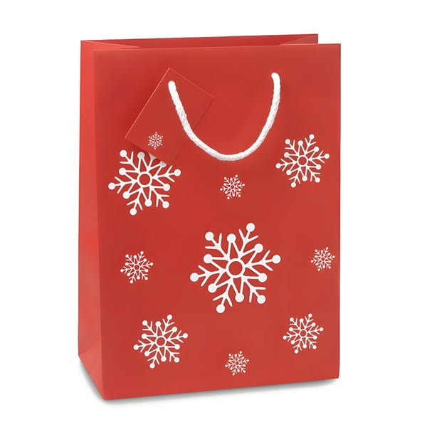 Medium Gift Bag with Snowflake Design