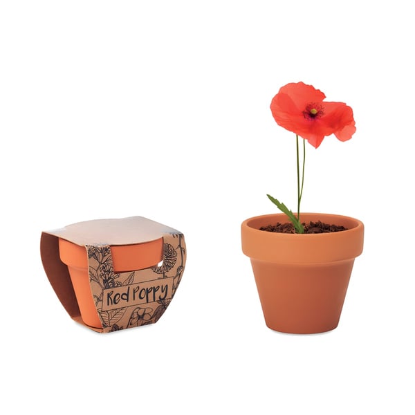 Small Clay Pot with Poppy Seeds