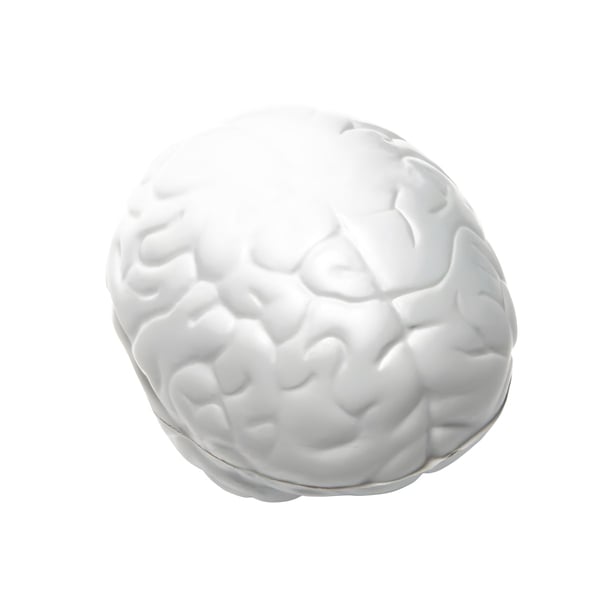 Flexible PU Brain Model - Smart and Certified