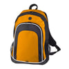 Stylish Lucent Backpack with Mesh Pockets