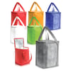 Smart Family Cooler/Shopping Bag