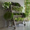 UPGARDEN Vertical Modular Garden System - 4 Levels + Free Gift!