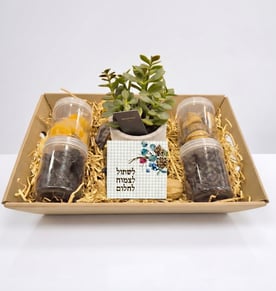 מארז חגיגי לטו בשבט - פירות יבשים ובריאים
