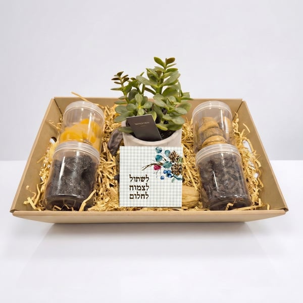Festive Tu Bishvat Package - Healthy and Dried Fruits