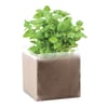 Basil Seed Compost Bag for Eco-friendly Gardening