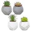 Artificial Succulents and Cacti in Stylish Clay Pots