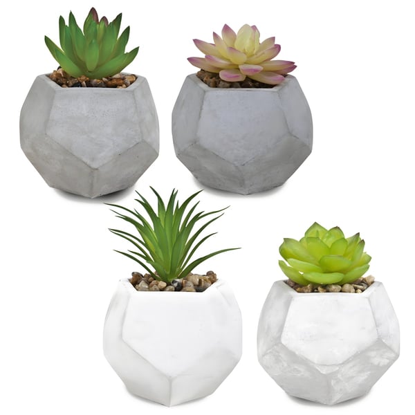 Artificial Succulents and Cacti in Stylish Clay Pots