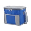 Portable Insulated Blue Cooler Bag