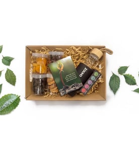 טו בשבט - צמיחה חדשה ומרגשת