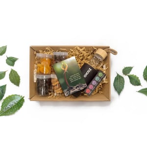 Tu BiShvat - A Fresh New Growth Experience