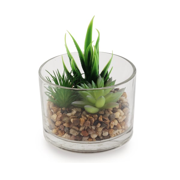 Set of Three Decorative Succulents and Cacti in Glass