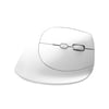 WIZARED Ergonomic Wireless Mouse - Premium Corporate Gift for Health & Productivity
