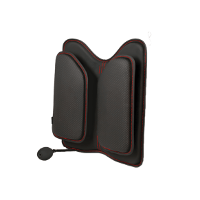 כרית תמיכה אורטופדית לגב מבית ד"ר גב - THE BACK PROTECTOR