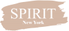 ספיריט SPIRIT