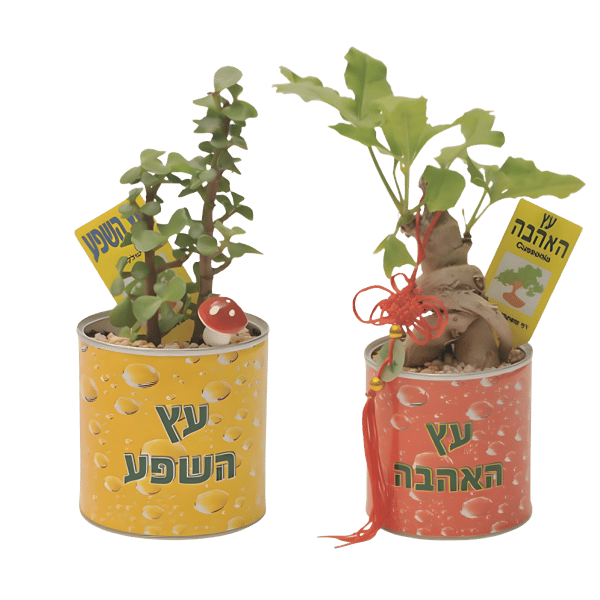 Branded Designer Pot - Herbal and Ornamental Plants