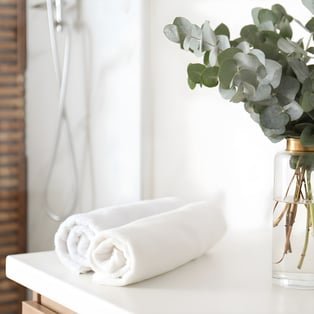 ערכת יופי לטיפוח הבית עם צמחי נוי מעוצבים