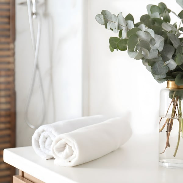 ערכת יופי לטיפוח הבית עם צמחי נוי מעוצבים