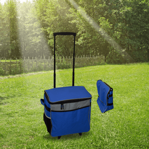 צידנית טרולי איכותית - מתנה עסקית המשלבת איכות עם פרקטיות