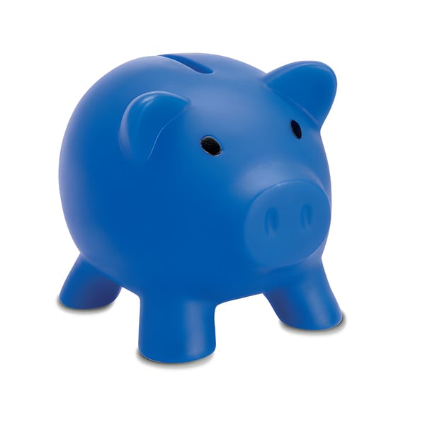 Children's Designed Savings Piggy Bank with Removable ABS Stopper