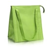 אנטרטיקה  צידנית משפחתית/תיק קניות - ירוק