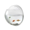 Designer Acrylic Wall-Mounted Aquarium in Various Designs and Sizes
