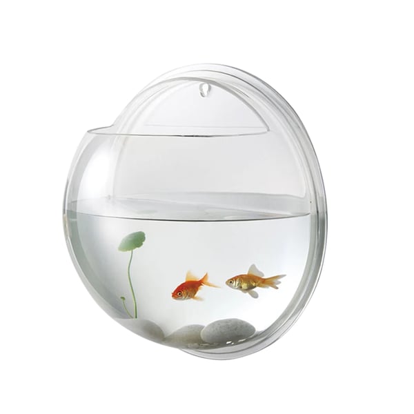 Designer Acrylic Wall-Mounted Aquarium in Various Designs and Sizes