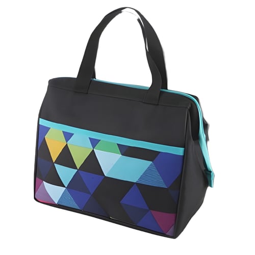 צידנית אוכל תרמית עם קרחונים וישי