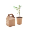 GROWTREE™