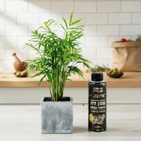 מארז "אביב הגיע"