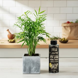 מארז "אביב הגיע"