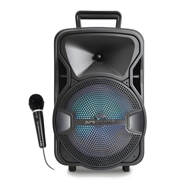 מערכת קריוקי ניידת 1000W PURE ACOUSTICS