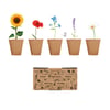 Enchanting Home Flower Growing Kit