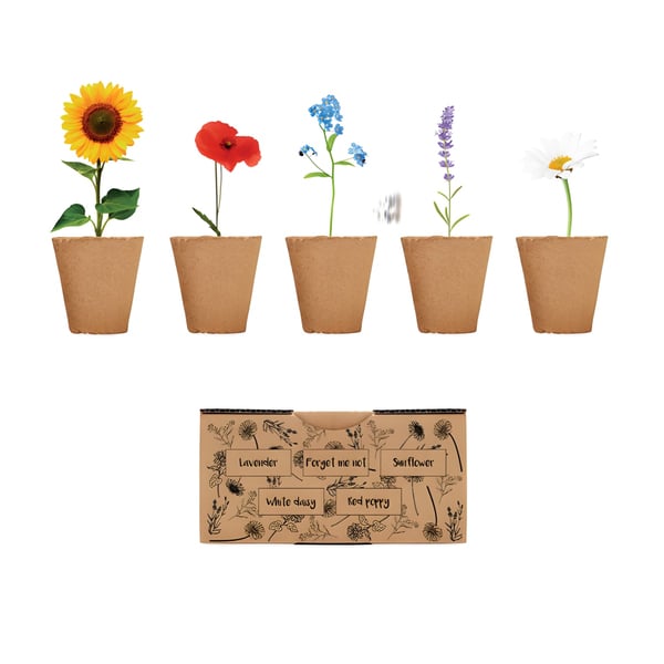 Enchanting Home Flower Growing Kit