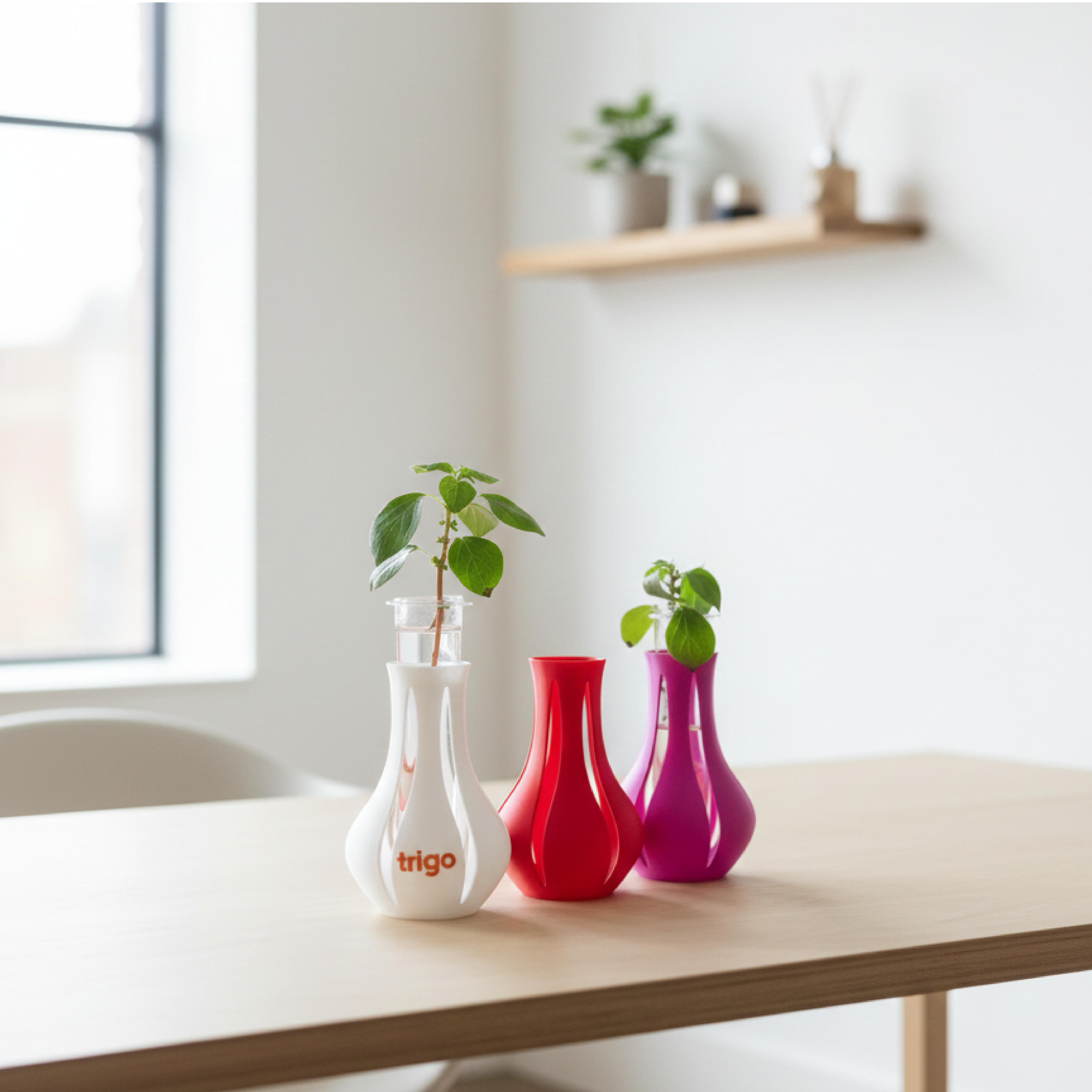 אגרטל צמיחה ממותג