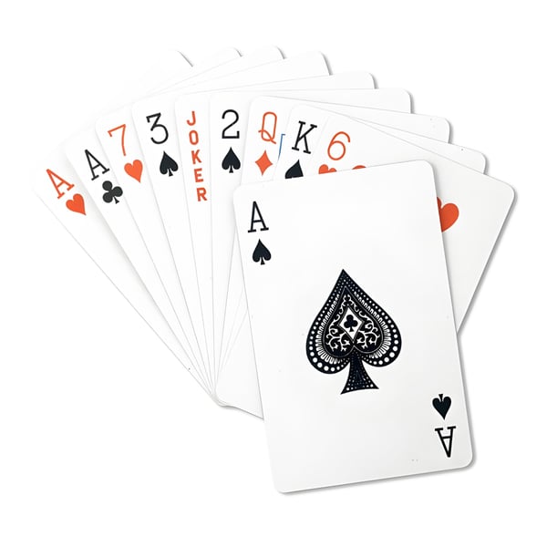 Classic Playing Cards with Plastic Case