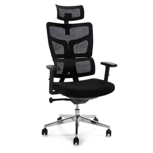 כיסא משרדי אקסטרה נוחות XL מבית ד"ר גב