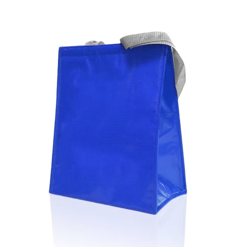 Glacier - Family Cooler and Shopping Bag