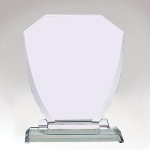 Elegant Designed Trophy