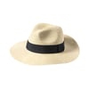 Hat Teilor