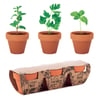 Clay Flowerpot Set with Herb Seeds