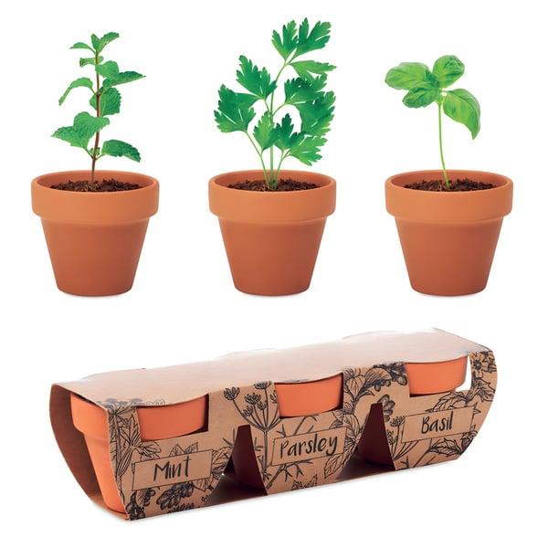 Clay Flowerpot Set with Herb Seeds