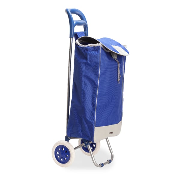 Foldable Shopping Cart with Detachable Bag - Perfect for Market