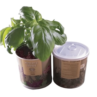 ערכת שתילה בפחית שימורים – גינה ביתית בקלות