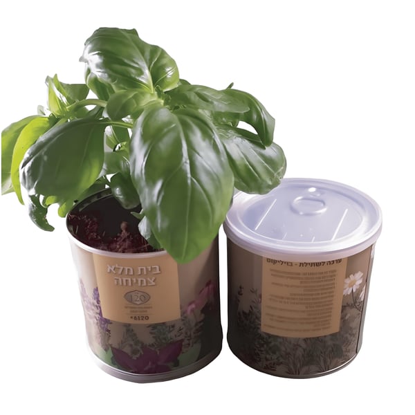 ערכת שתילה בפחית שימורים – גינה ביתית בקלות