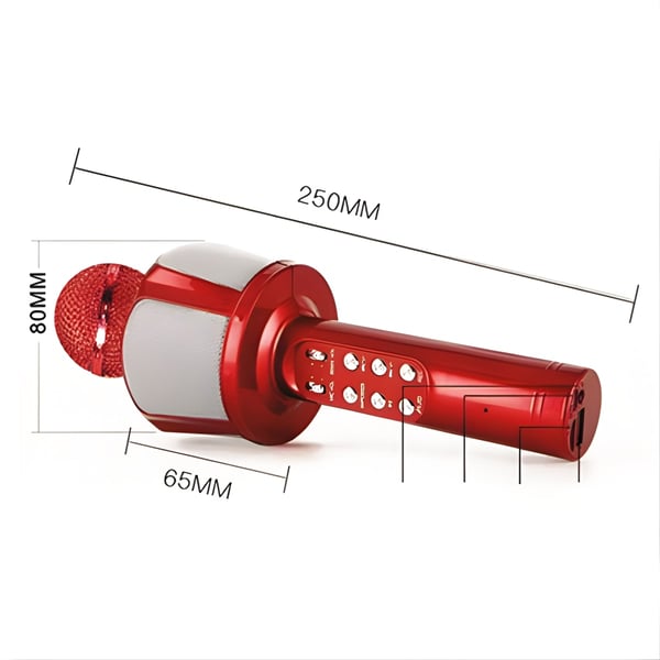 Professional Karaoke Microphone for Home and Venues