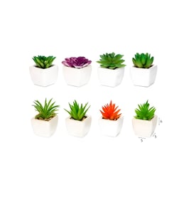 עציץ קקטוס מלאכותי דקורטיבי מרענן לחלל הבית