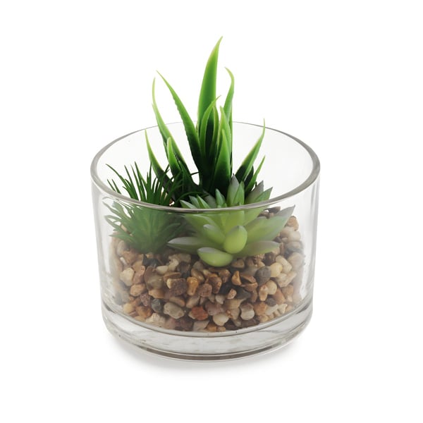 Artificial Succulent and Cactus Set in Glass Vase