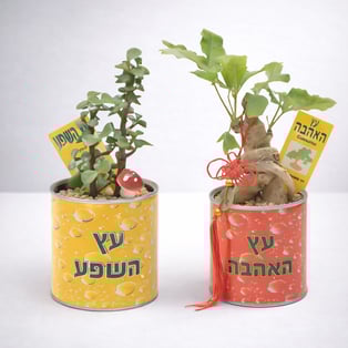 עציץ מעוצב ממותג - צמחי תבלין ונוי