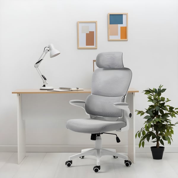 כיסא מנהלים ארגונומי במיוחד עם גב רשת